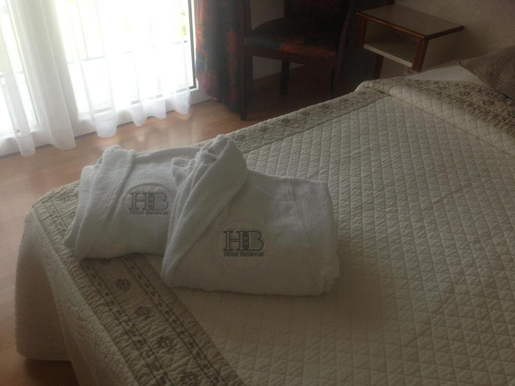 Hotel Bellevue Châtel-Guyon Pokoj fotografie